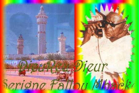 fallou mbacke