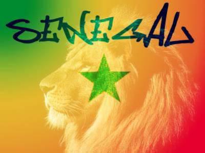 le lion du senegal