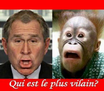 qui est le plus rugolo