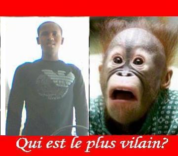 c'set rigolo 